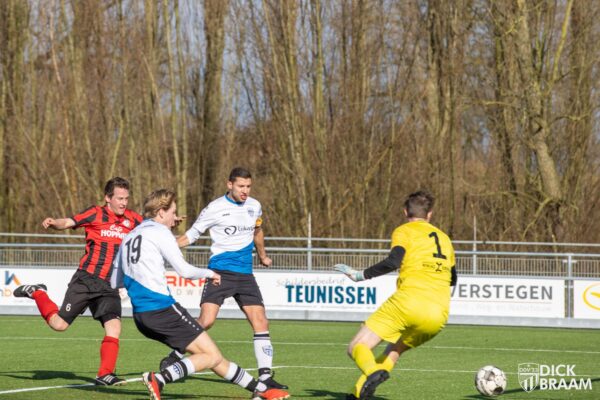 DDV1-DVSG1-4995