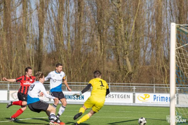 DDV1-DVSG1-4996