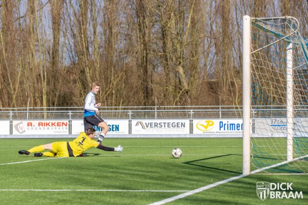 DDV1-DVSG1-5034