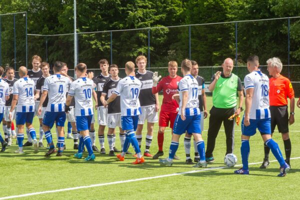 Blauw Wit1-DDV1-3026