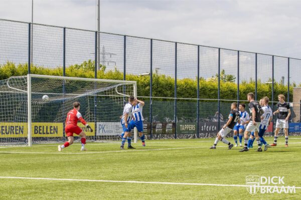 Blauw Wit1-DDV1-6151