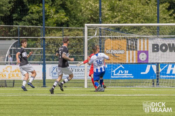 Blauw Wit1-DDV1-6160