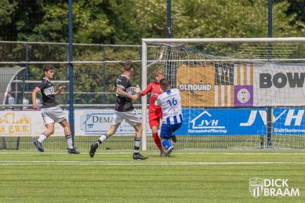 Blauw Wit1-DDV1-6161