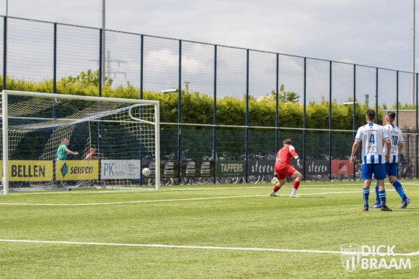 Blauw Wit1-DDV1-6169