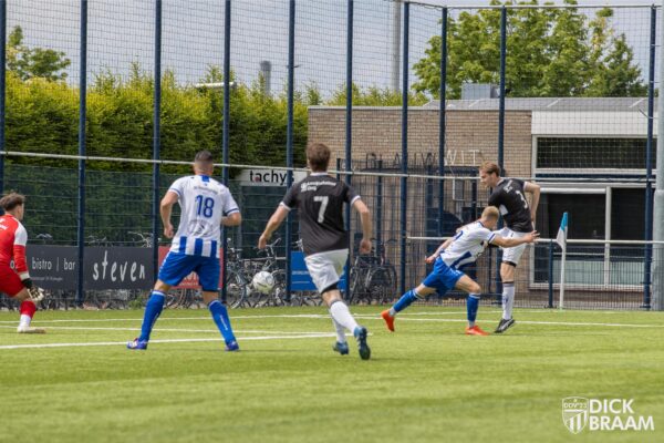 Blauw Wit1-DDV1-6174