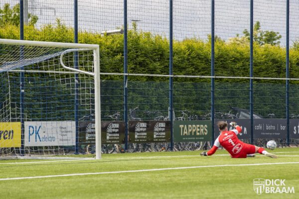 Blauw Wit1-DDV1-6176