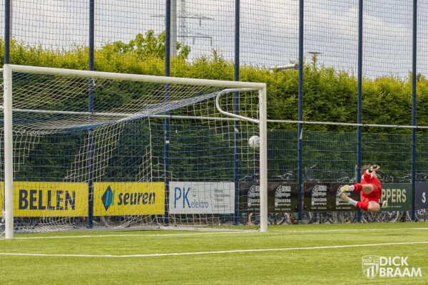 Blauw Wit1-DDV1-6199