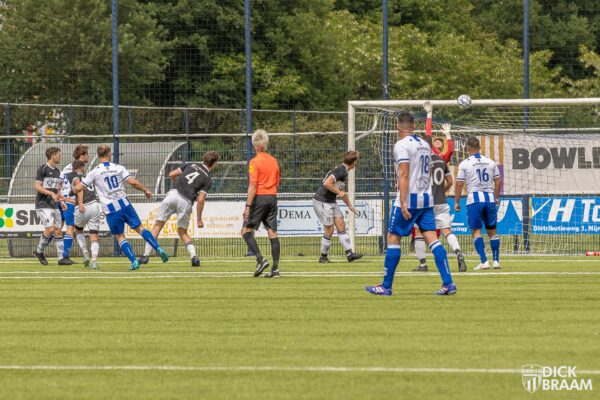 Blauw Wit1-DDV1-6212