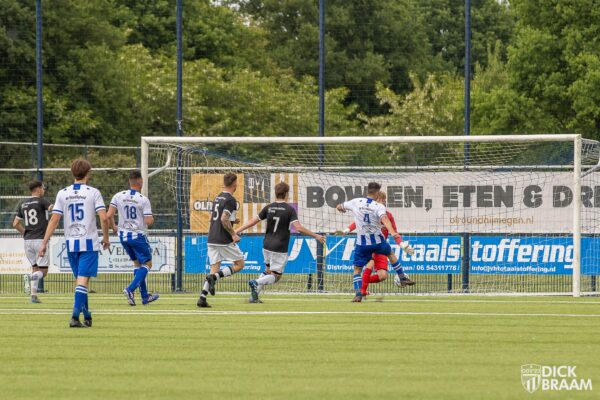 Blauw Wit1-DDV1-6255
