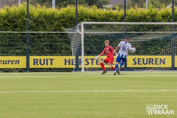Blauw Wit1-DDV1-6303