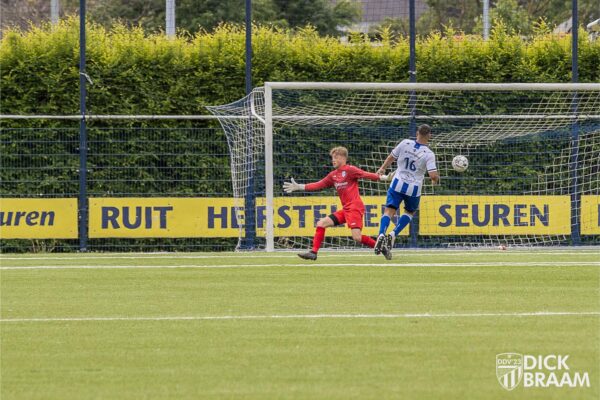 Blauw Wit1-DDV1-6304