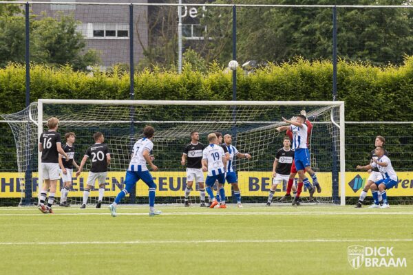 Blauw Wit1-DDV1-6313