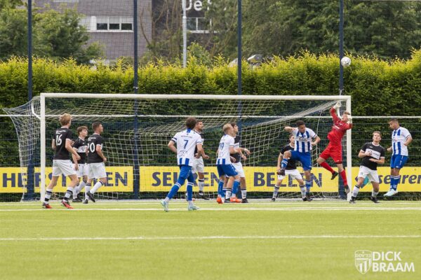 Blauw Wit1-DDV1-6318