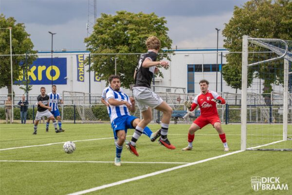 Blauw Wit1-DDV1-6325