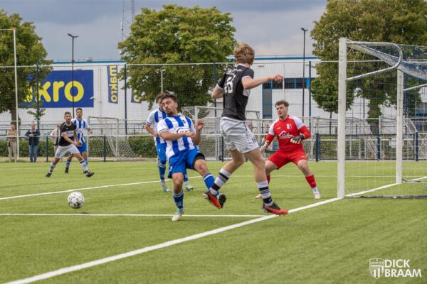 Blauw Wit1-DDV1-6326