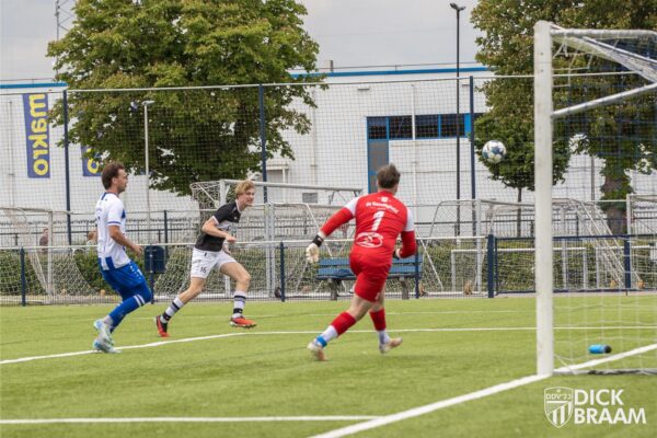 Blauw Wit1-DDV1-6354