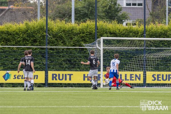 Blauw Wit1-DDV1-6380