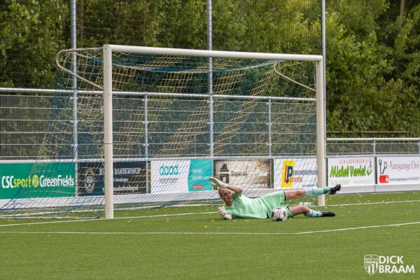 DDV1-GVA1-6493