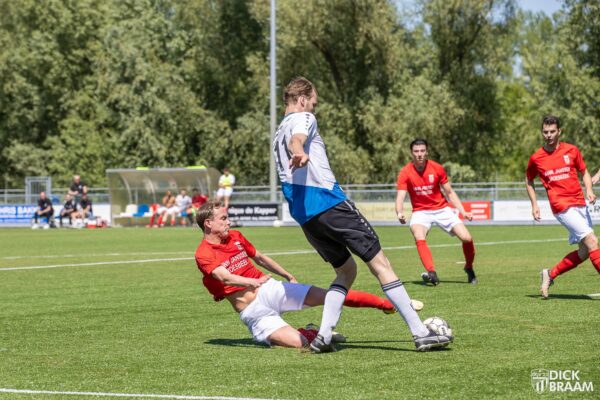 DDV1-Rood Wit1-6004