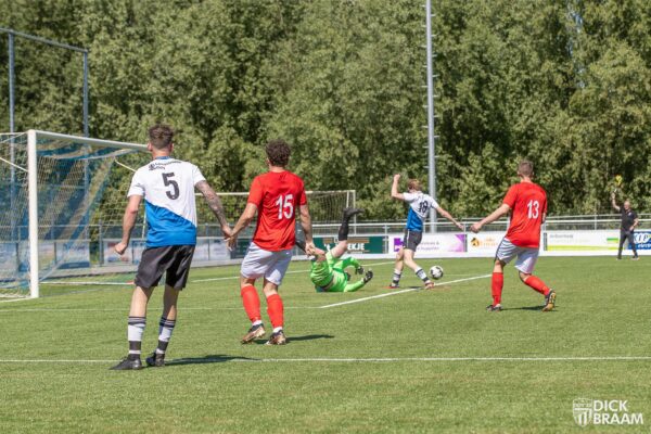 DDV1-Rood Wit1-6124