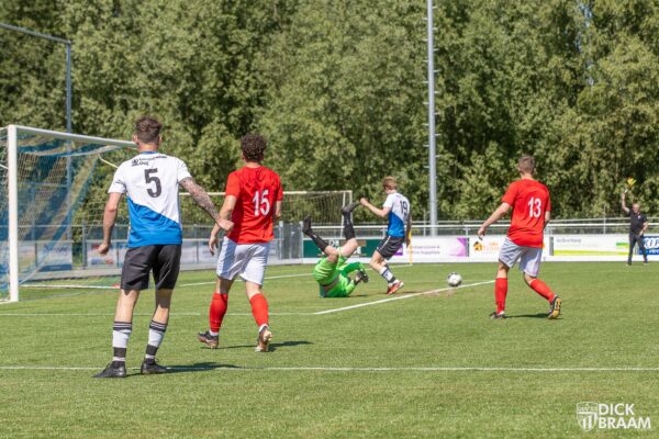 DDV1-Rood Wit1-6125