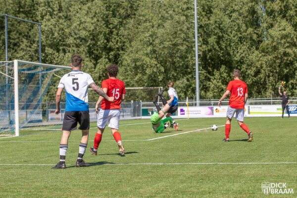 DDV1-Rood Wit1-6126