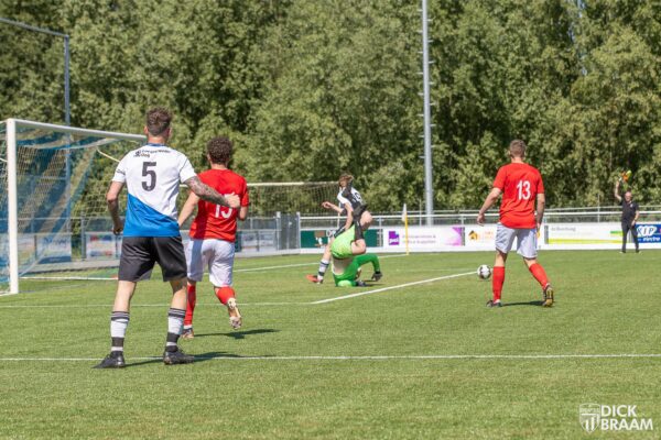 DDV1-Rood Wit1-6127