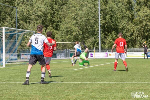 DDV1-Rood Wit1-6128