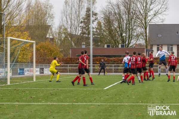 DDV1-DVSG1-5295