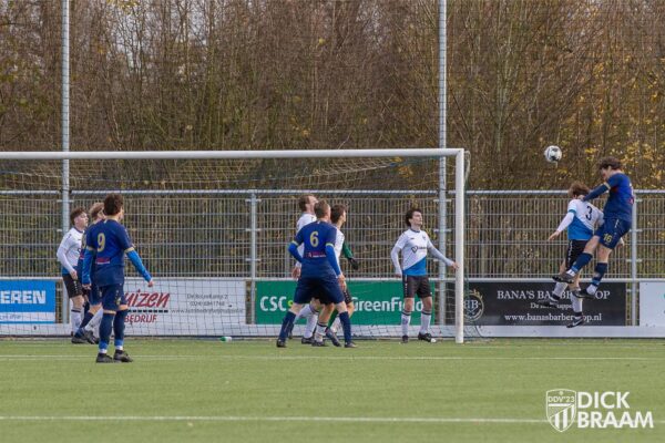 DDV1-WVW1-8104