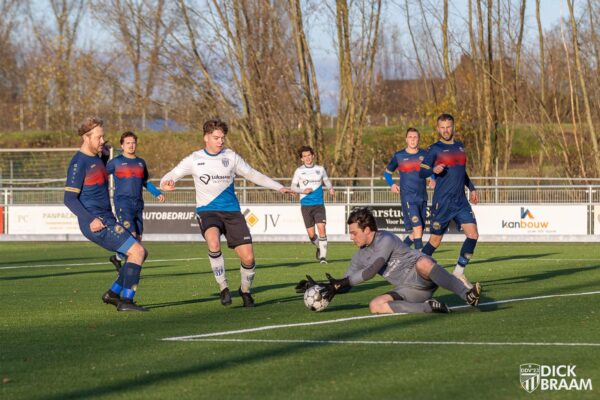 DDV1-WVW1-8208
